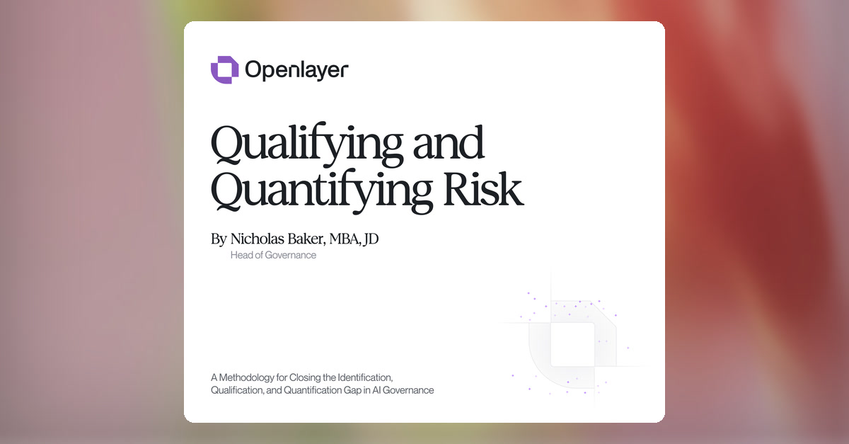 Cover of the Openlayer whitepaper Qualifying and Quantifying Risk